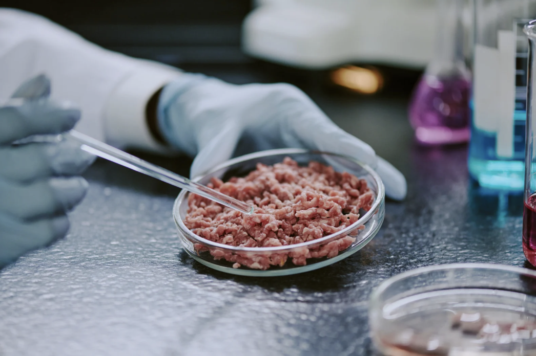 Ethics of Lab-Grown Meats 